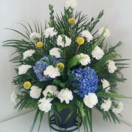 Blue hydrangeas and white carnations in a black pot with palm foliage