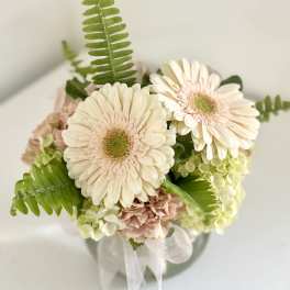 Cream gerbera daisies with pink carnations in a clear vase