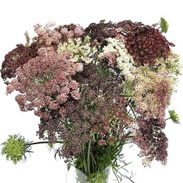 Large bouquet of tiny pink and white flowers in a clear vase