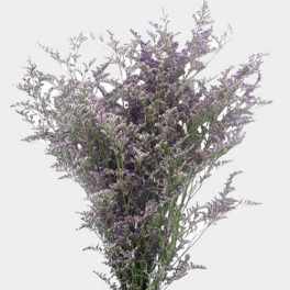 Loose bouquet of small purple filler flowers