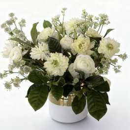 Classic Elegance