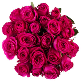 Bouquet of bright pink roses on a white background