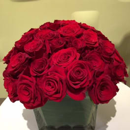 Red roses arranged in a square glass vase