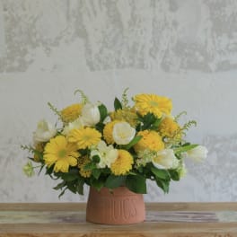 Yellow and white flower arrangement in a terracotta vase