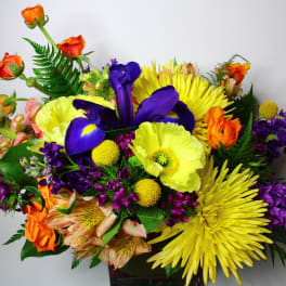 Colorful bouquet with yellow, purple, orange, and pink flowers