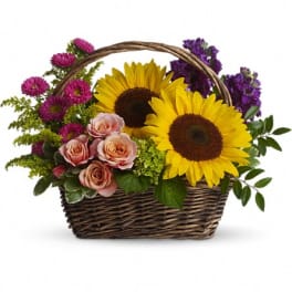 Picnic in the Park