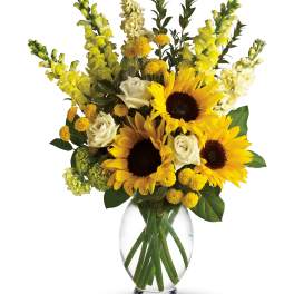 Here Comes the Sun by Teleflora (T152-1A)