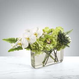 Low arrangement of white orchids, green hydrangeas, and a succulent in a rectangular glass vase.