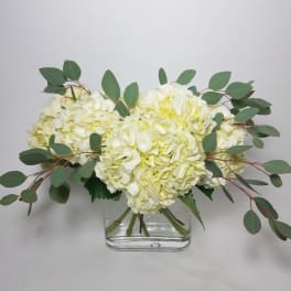 White hydrangea arrangement in a clear glass vase with eucalyptus
