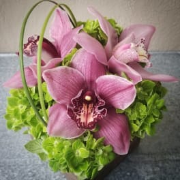 Pink orchids arranged with bright green hydrangeas in a small container