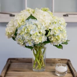 White and pale blue hydrangea bouquet in a clear glass vase