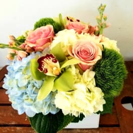 Bouquet of pink roses, blue hydrangea, and pale orchids in a white container
