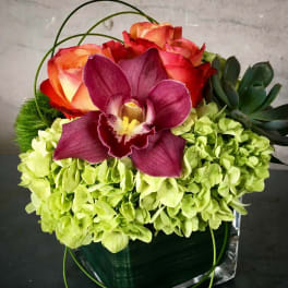 Arrangement of green hydrangeas, roses, and a purple orchid in a square vase