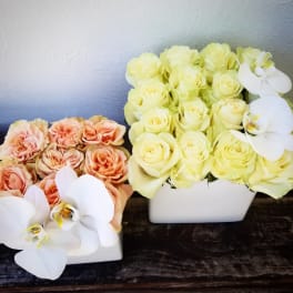 Two rose arrangements in white containers with white orchids