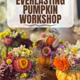 Decorative pumpkins topped with colorful dried flower arrangements