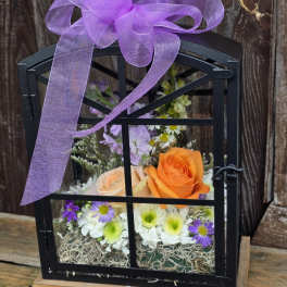 Flutter Away Butterfly Lantern