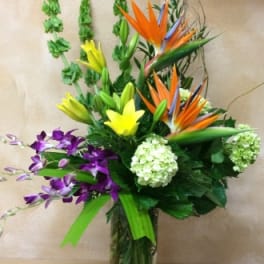Tropical bouquet with bird of paradise, orchids, and hydrangea in a glass vase