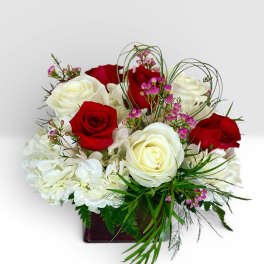 Red and white roses arranged in a square vase with small pink accents