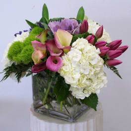Tulips and Callas