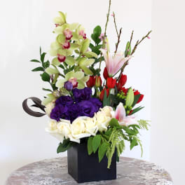 Orchids and Lilies