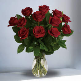 My True Love Roses (available in all colors) Summer Special
