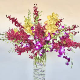 Colorful orchid arrangement in a tall clear glass vase