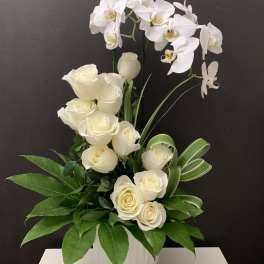White roses and orchids arranged in a white vase