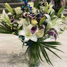 Lilies Plus