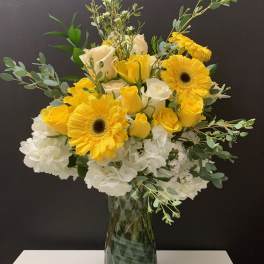 White & Yellow