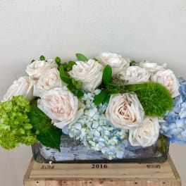 White roses and blue hydrangeas arranged in a glass container