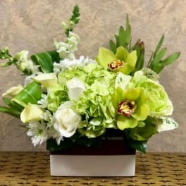Green and white floral arrangement in a rectangular box
