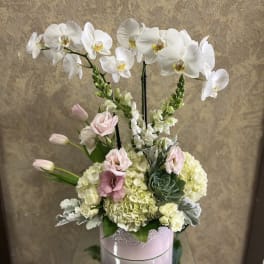 White orchids and pale pink flowers in a pink vase