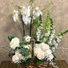 White orchids and pale roses arranged in a wicker basket with a succulent
