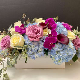 Arrangement of pink and cream roses with blue hydrangeas and purple orchids in a white container
