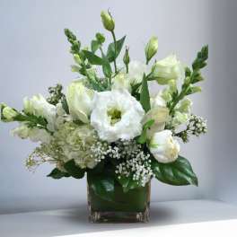 White flowers arranged in a square glass vase