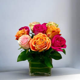 Modern Roses