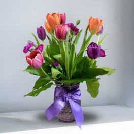 Friendly Tulips