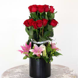 Gorgeous Roses