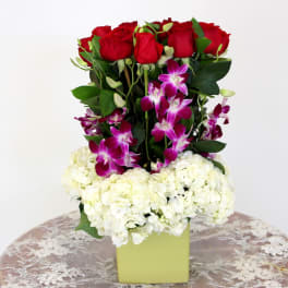 Roses and Hydrangeas