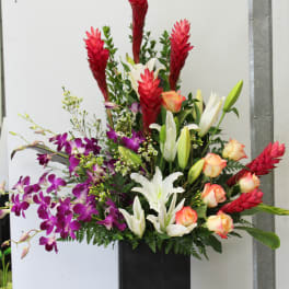 Tropical Mix