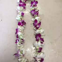 GRADUATION LEI (PURPLE AND WHITE )