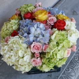 Colorful Pastels