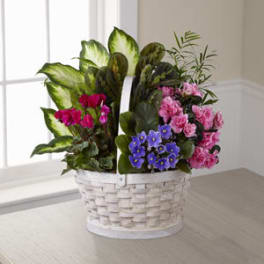 Mixed flowers in a white wicker basket with large green leaves