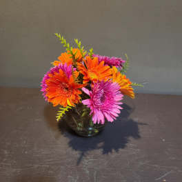 Bright gerbera daisies arranged in a glass vase