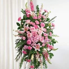 Pink Standing Spray