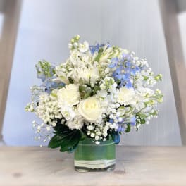 White and blue mixed flower arrangement in a square glass vase