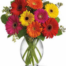 Colorful gerbera daisy bouquet in a clear glass vase
