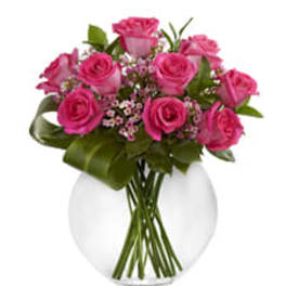 Pink roses arranged in a white vase