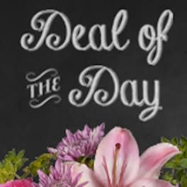 Pink lilies and purple flowers beneath "Deal of the Day" text