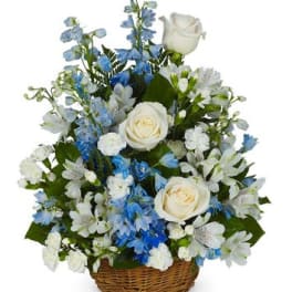 Peaceful basket